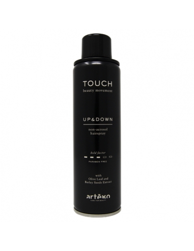ARTEGO TOUCH Up and Down 250ml